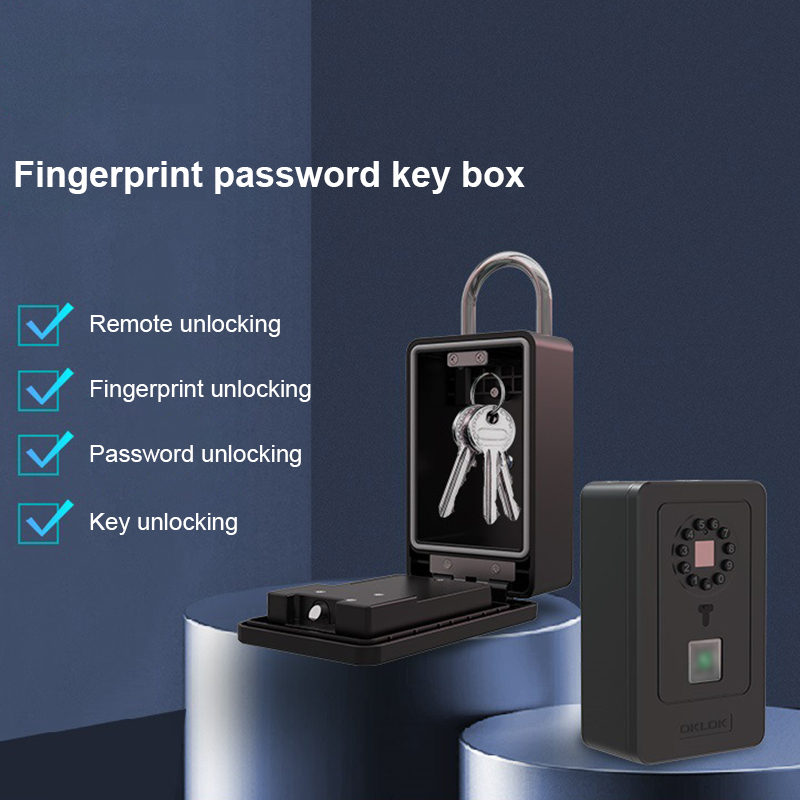 Intelligentes Vorhängeschloss  – Home Security Box Bewertung und Preis